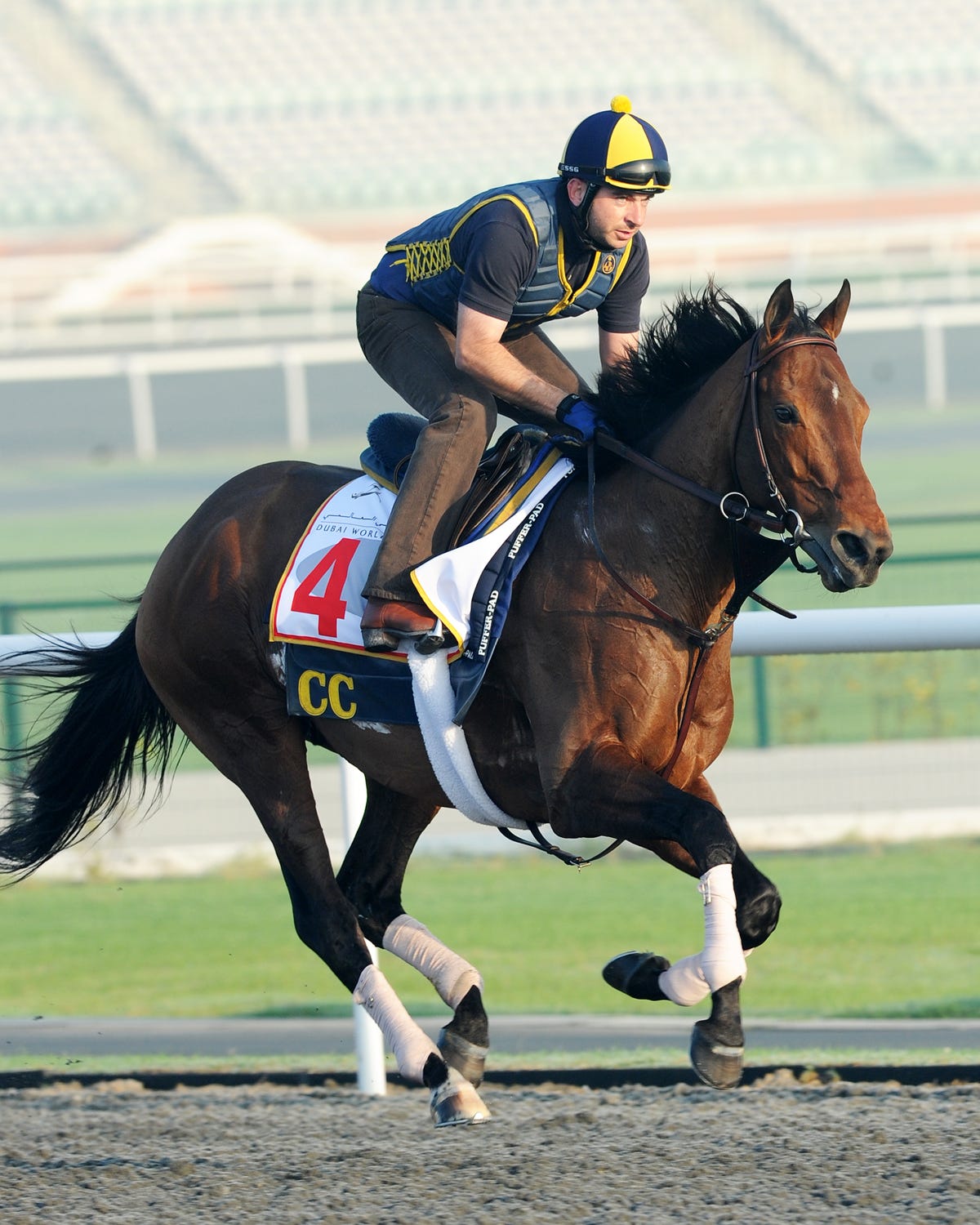 Dubai World Cup: Gio Ponti back in search of signature win